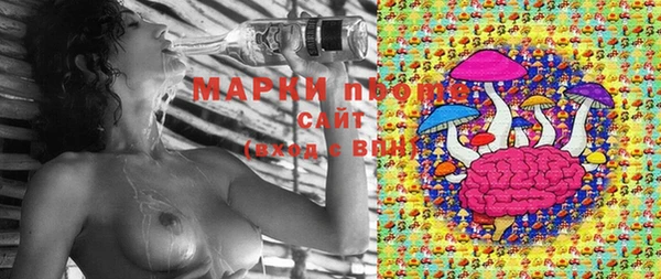 jwh Новозыбков