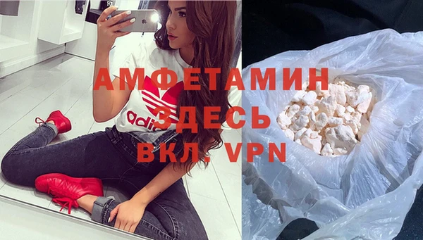 крисы Новодвинск