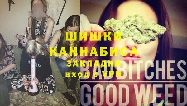 крисы Новодвинск