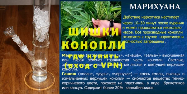 крисы Новодвинск
