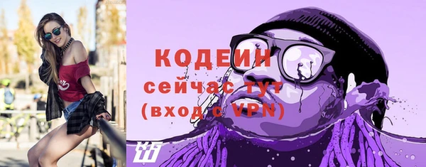 крисы Новодвинск